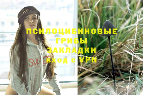 PSILOCYBIN Абаза