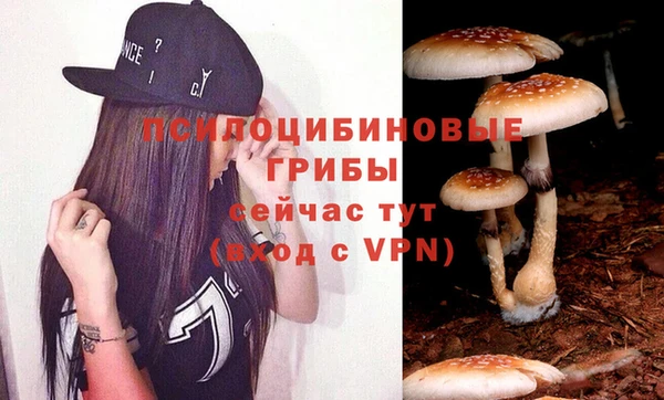спиды Нея