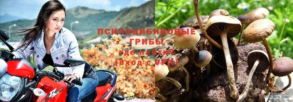 PSILOCYBIN Абаза