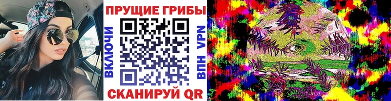 Галлюциногенные грибы мицелий  Прокопьевск 