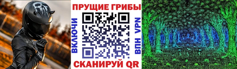 Галлюциногенные грибы прущие грибы Прокопьевск