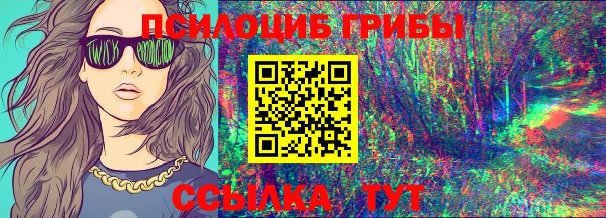 цена   Галлюциногенные грибы Cubensis  Вход с VPN  Прокопьевск 