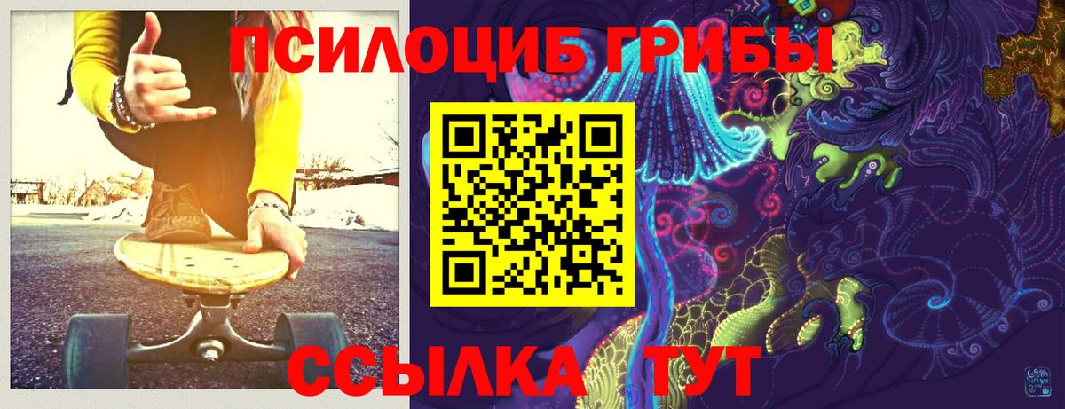 Галлюциногенные грибы Cubensis Прокопьевск