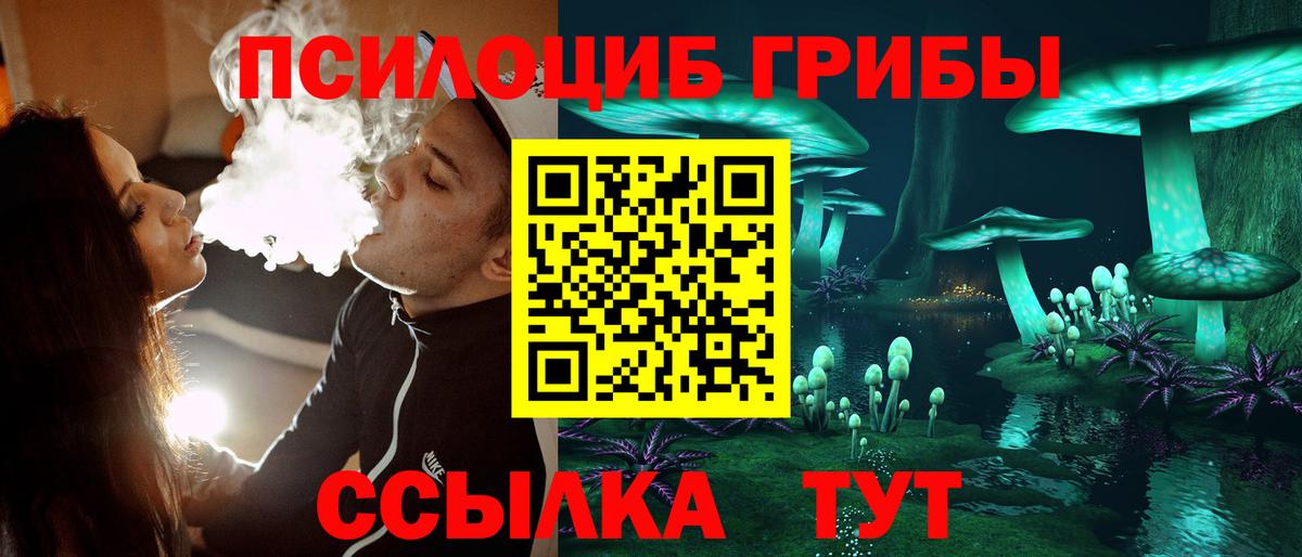 Псилоцибиновые грибы Прокопьевск